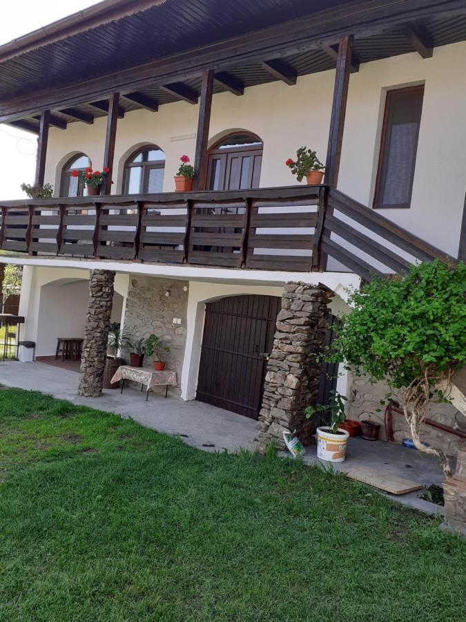 Casa De Vacanta Mirela Новачі-Страіні Екстер'єр фото