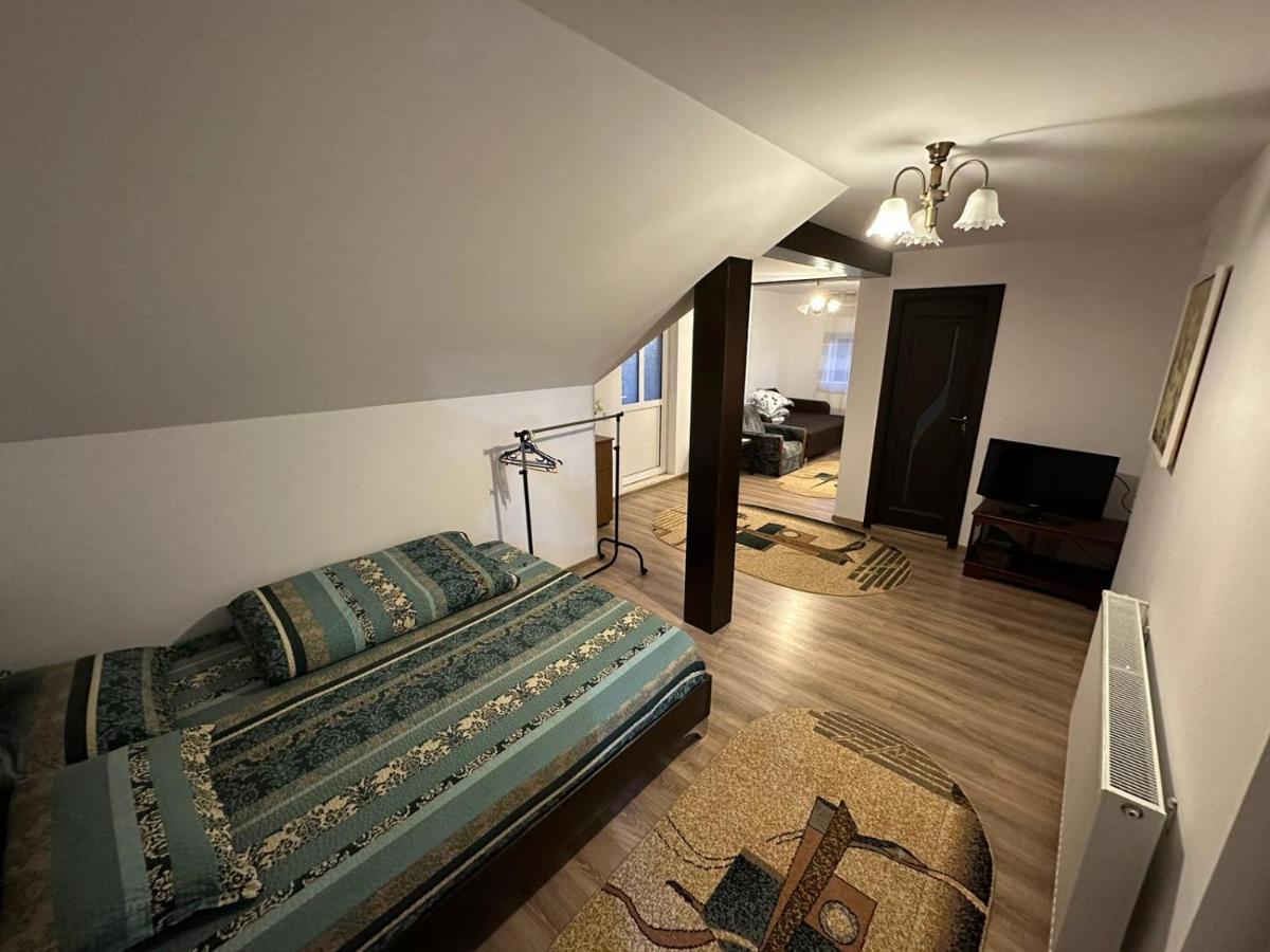 Casa De Vacanta Mirela Новачі-Страіні Екстер'єр фото